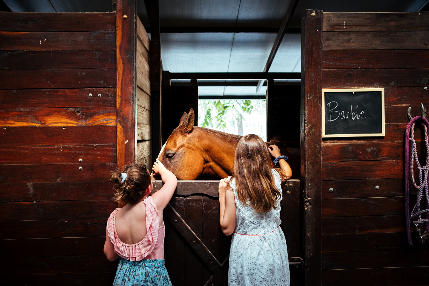 Saddle up for these equestrian experiences 