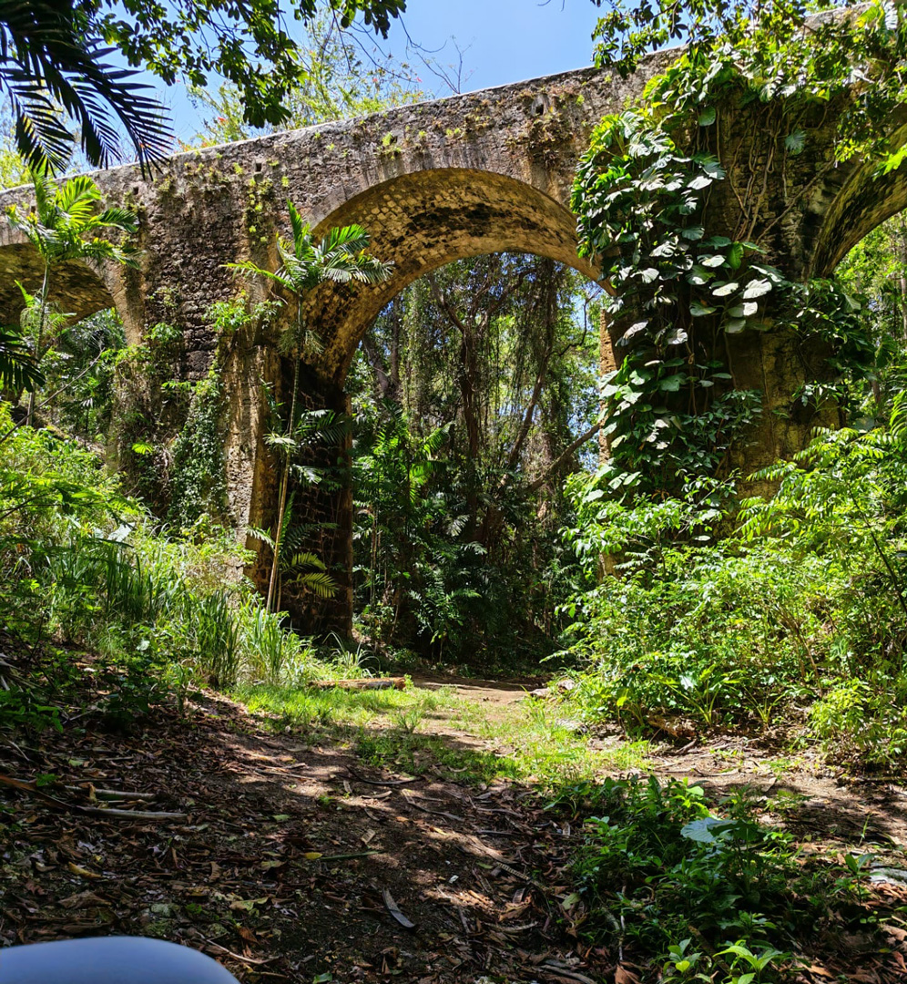 Destination Barbados: more than sun, sand and sea