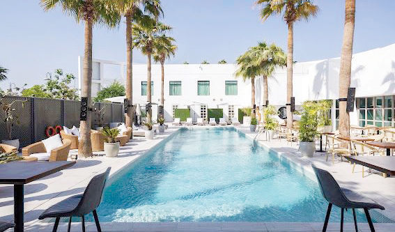 Gastronomic Adventure