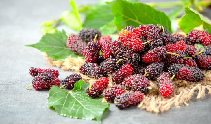 So berry juicy!