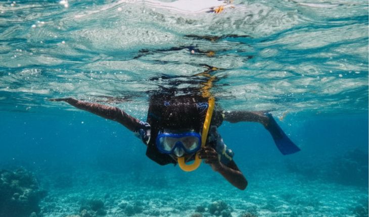 Gulf Weekly Island adventures await
