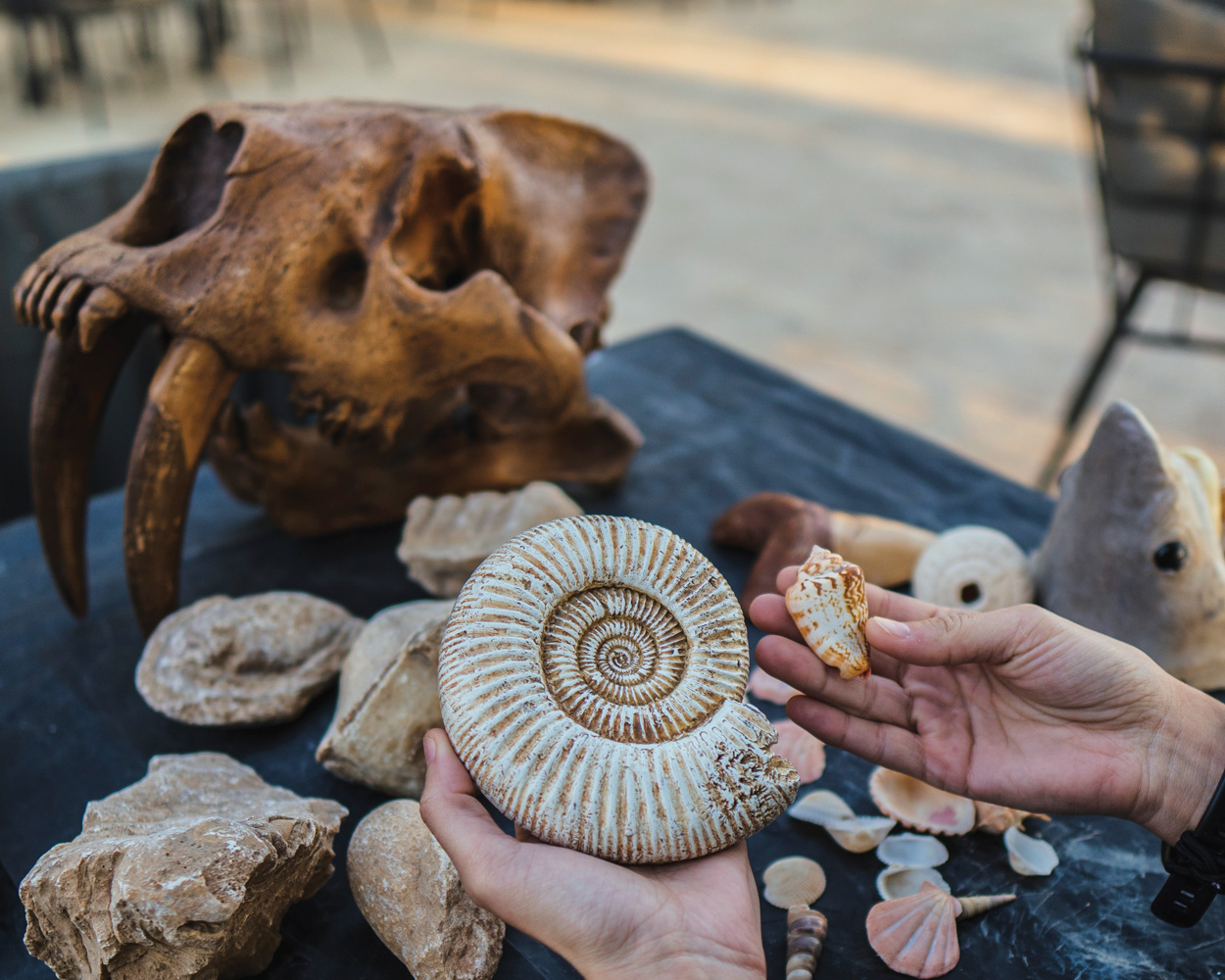 Mleiha National Park 