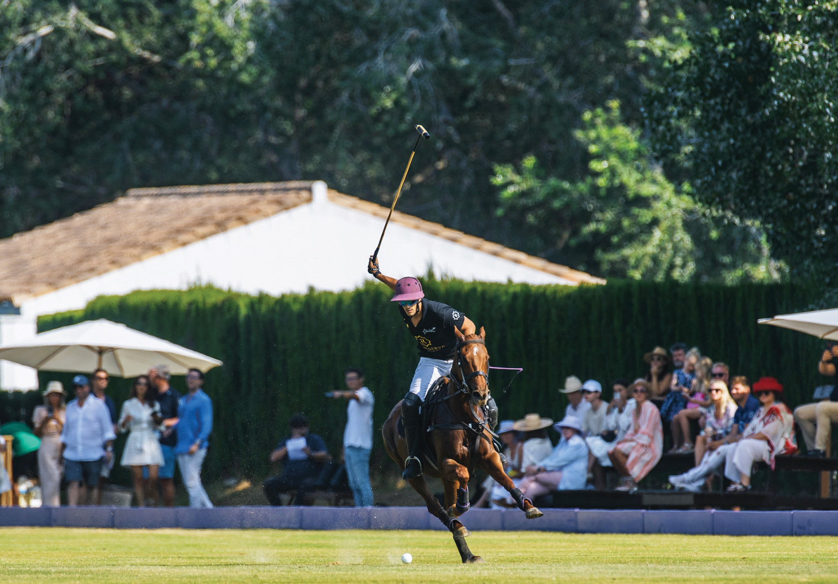 Saddle up for these equestrian experiences 