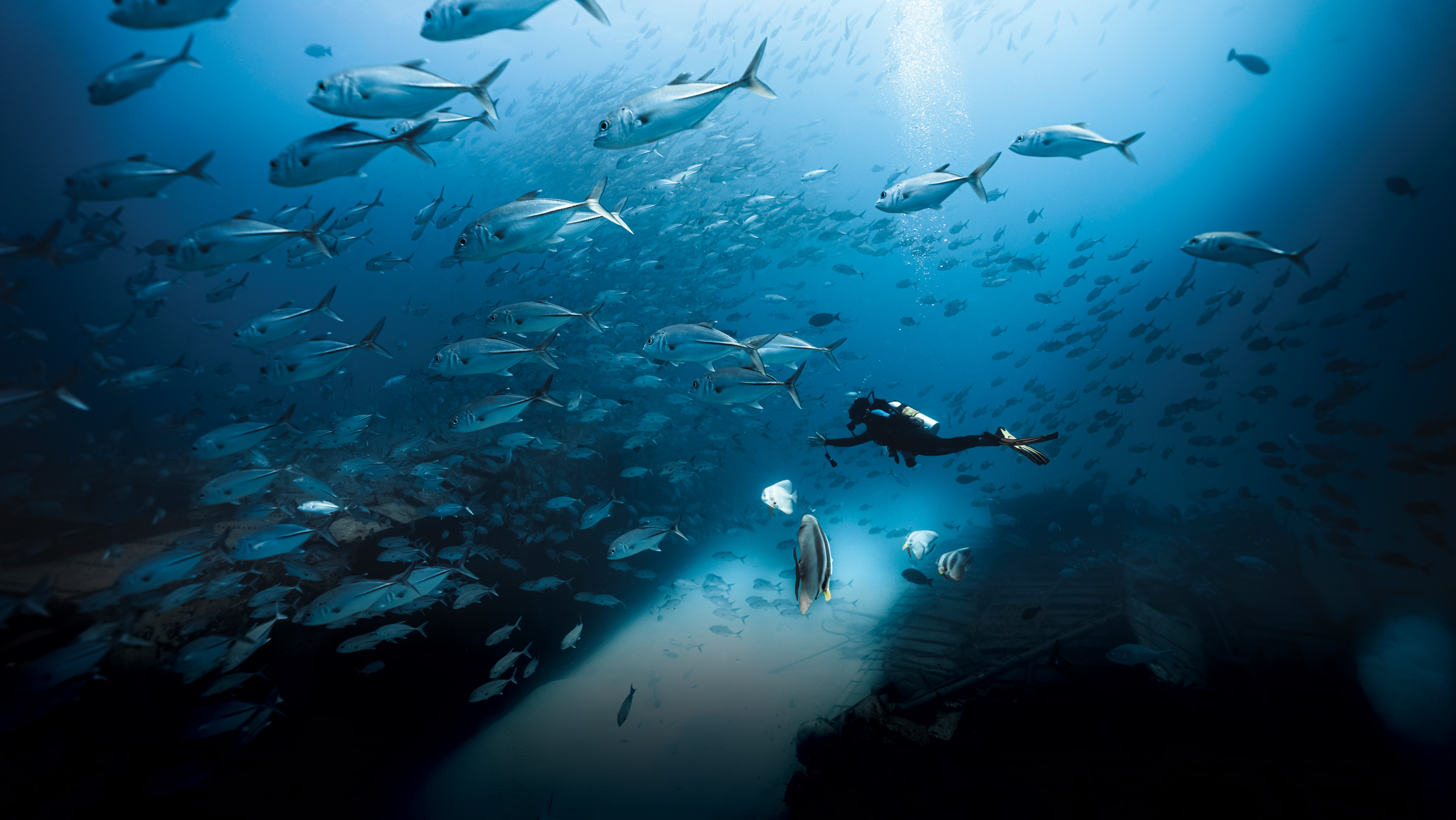 Maldives leads UAE summer travel