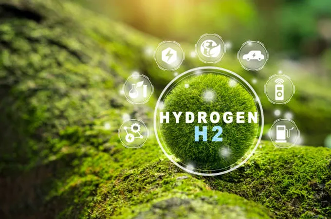 Low-emissions hydrogen projects set to grow despite cancellations: IEA