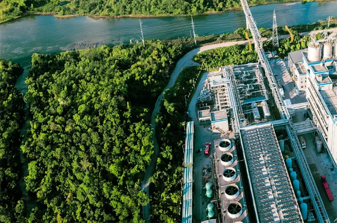 SAF technology main bottleneck to net zero: IATA study