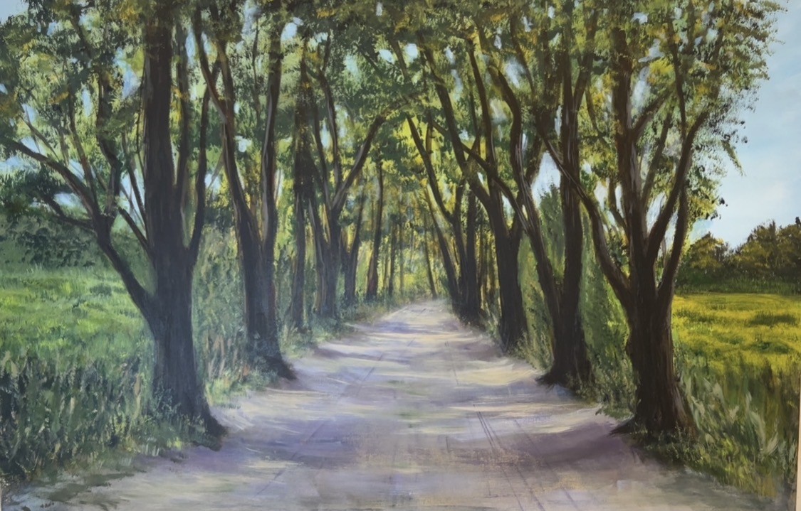 Nature: Thamer’s painting of the walkway shaded by a canopy of trees at Karzakan forest 