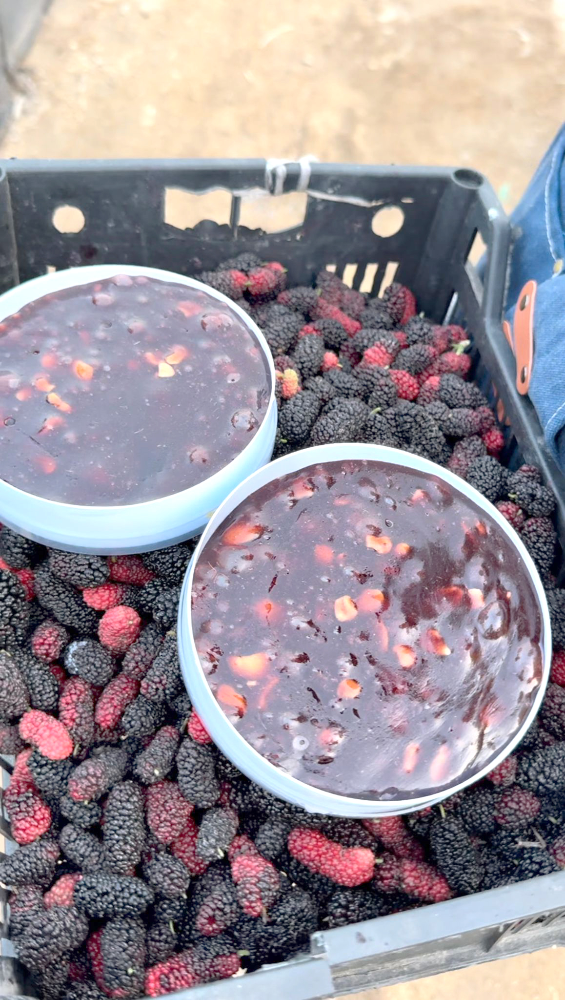 Sweet: Sayed’s popular Mulberry halwa