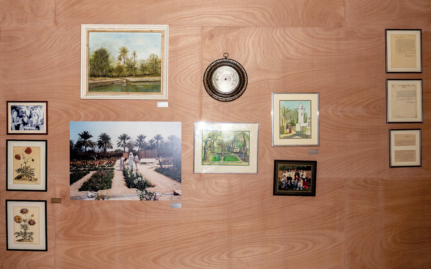 The sagas of the sage