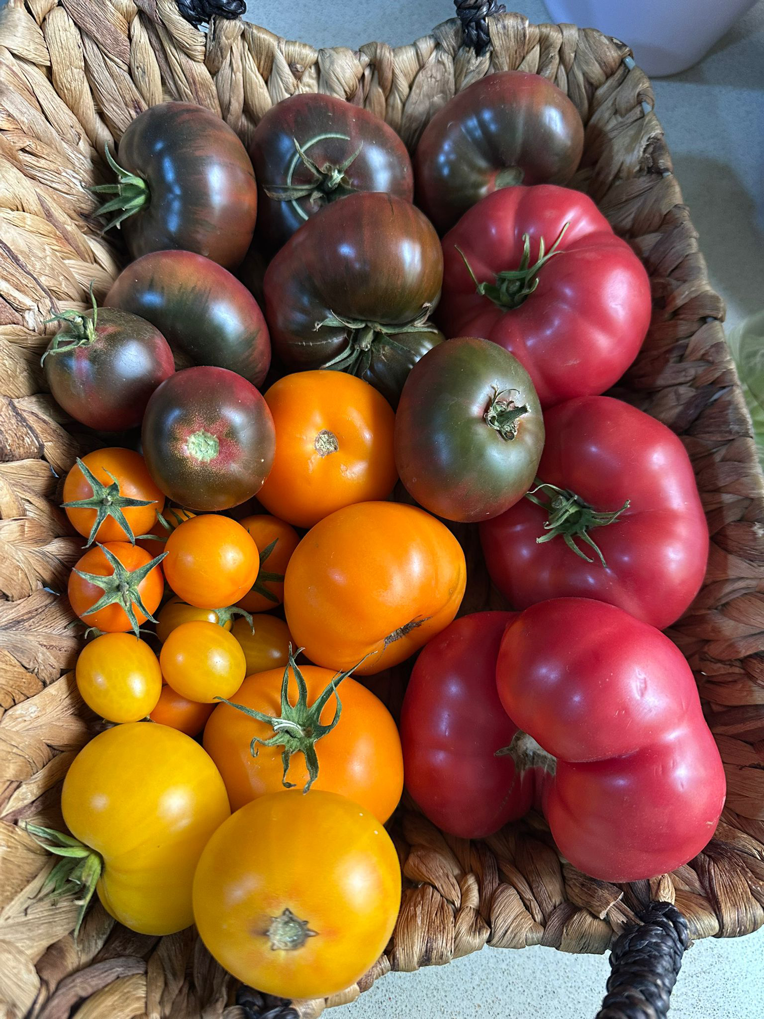 Reaping the healing benefits of gardening