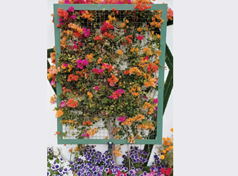 Reaping the healing benefits of gardening