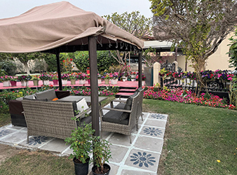 Reaping the healing benefits of gardening