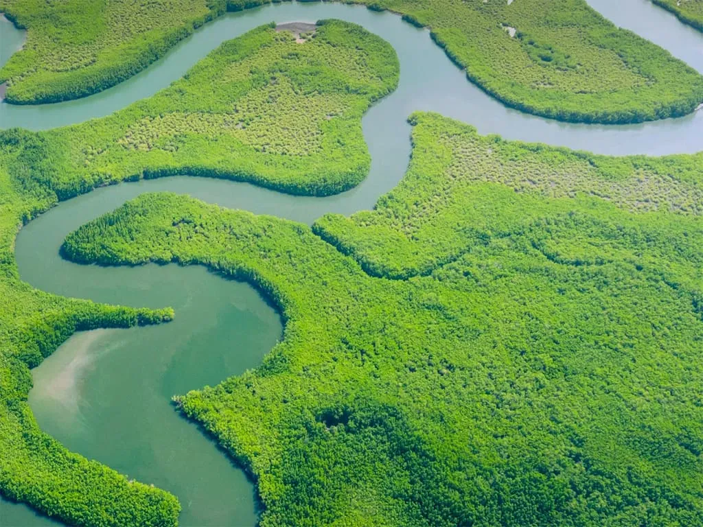 COP30 to feature tourism thematic days