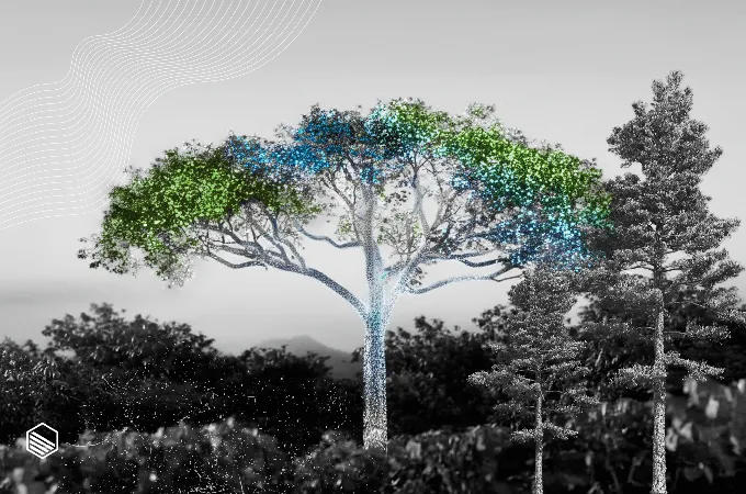 Carbon Direct acquires Pachama to advance quality in carbon markets