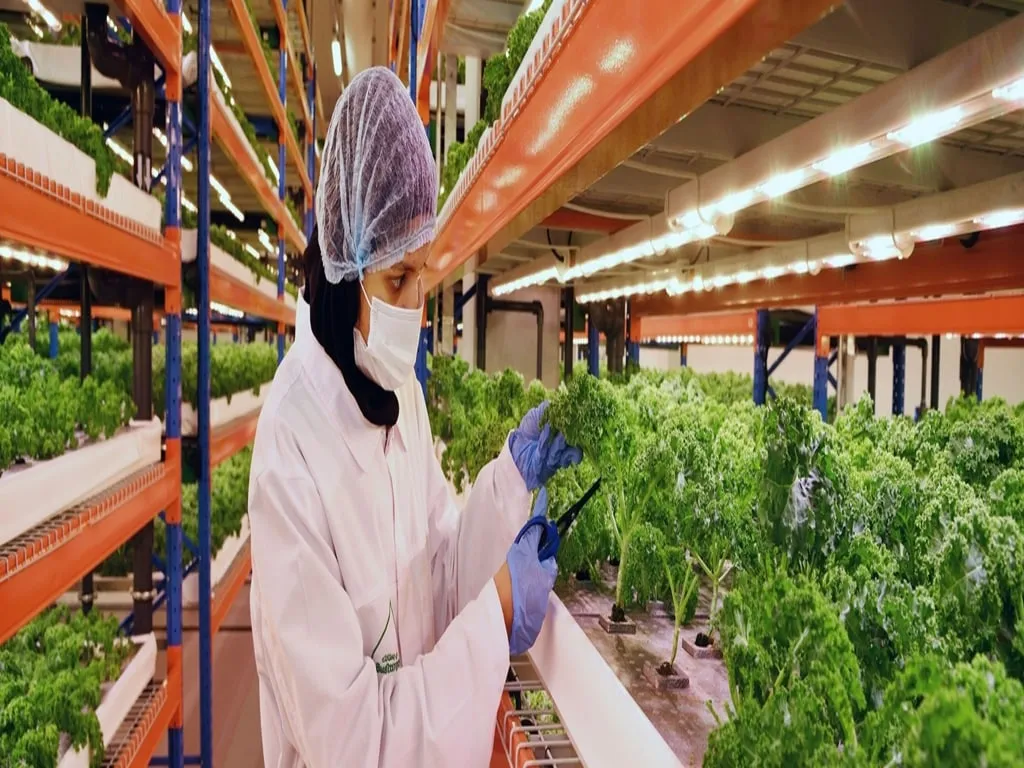 Informatica, Emirates Flight Catering partner for smarter operations