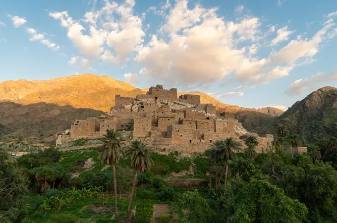 Al-Baha Coffee City to produce 2,500 tons of coffee