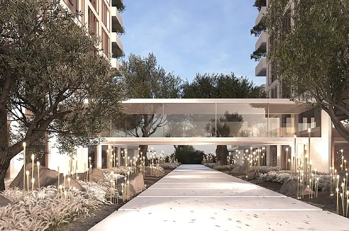 Ancient olive trees to become centrepiece of Dubai luxury community 