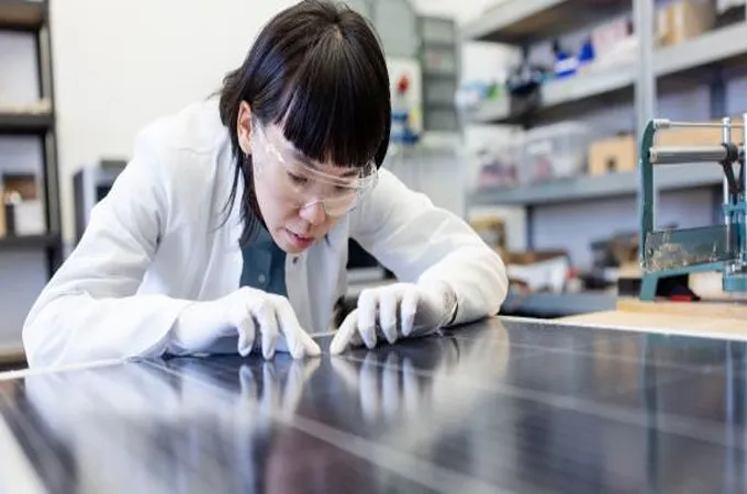 Renewables jobs see first slowdown amid global deployment growth