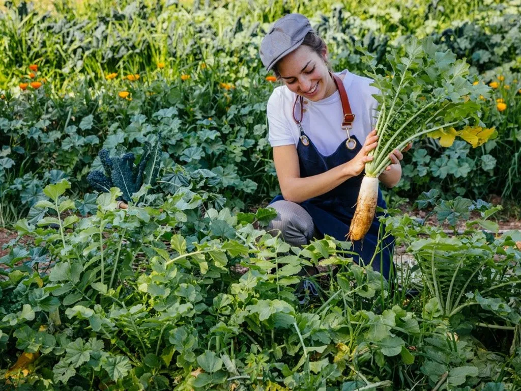 Less waste, more taste: Six Senses joins 'Recipe of Change' initiative 