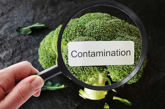 Unsafe food causes 1.5m deaths a year, children at highest risk: WHO