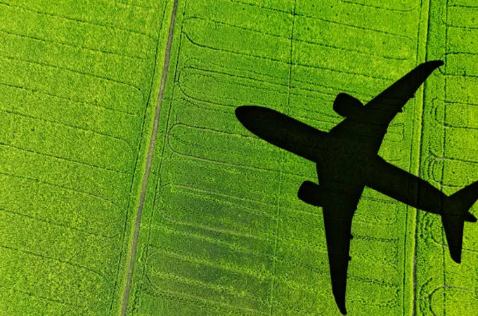 Axens, Dragonfly partner on SAF projects in Africa, Caribbean