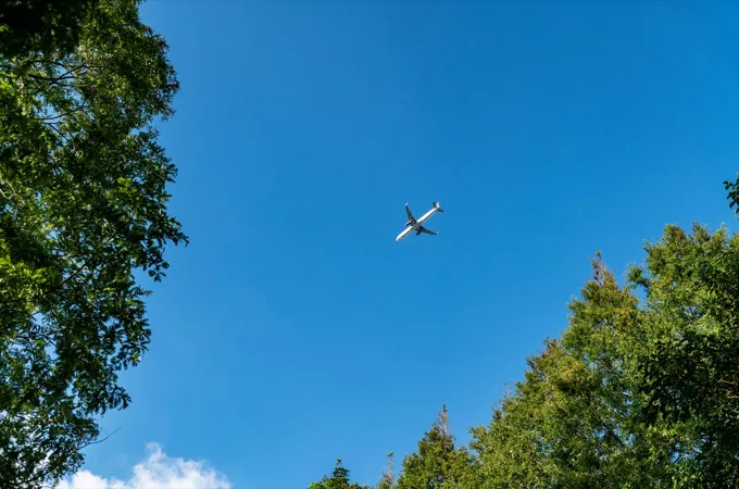 IATA launches supporting alliance for Corsia EEU supply