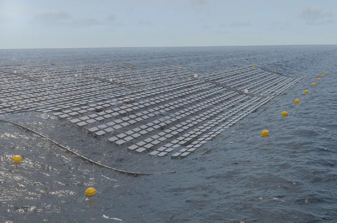 DNV validates BRIZO floating solar for challenging wave conditions