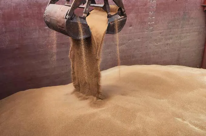 SABIL unloads first wheat shipment at Port of NEOM
