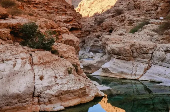 Oman Travel Hub launches to promote tourism, local experiences