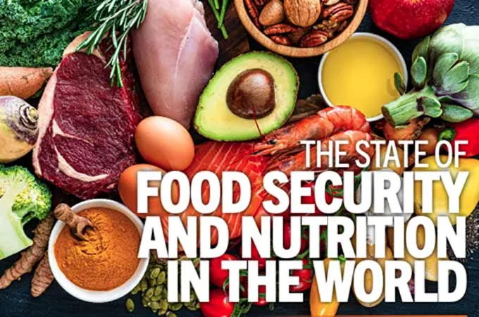 Middle East conflict threatens to reverse global hunger gains, UN warns