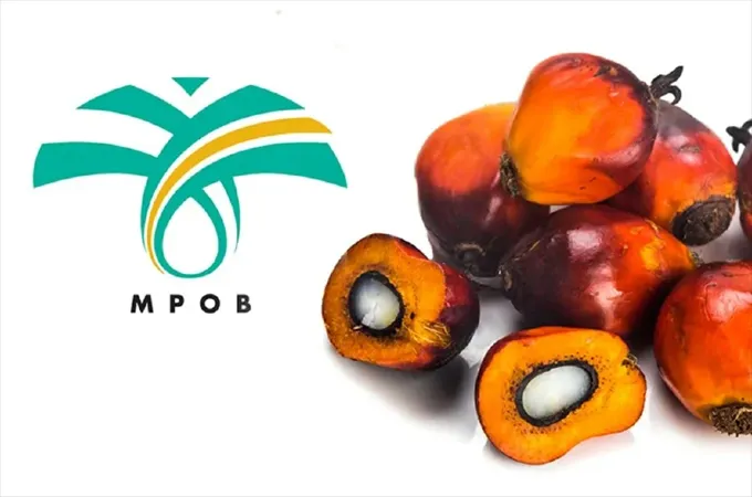 Malaysia palm oil stocks rise 3.3pc in July on higher CPO inventories