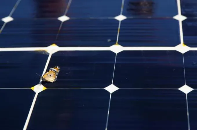 Solar PV boom highlights growing need for panel recycling: Irena