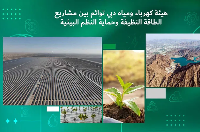 Dewa integrates carbon reduction, biodiversity into infrastructure projects