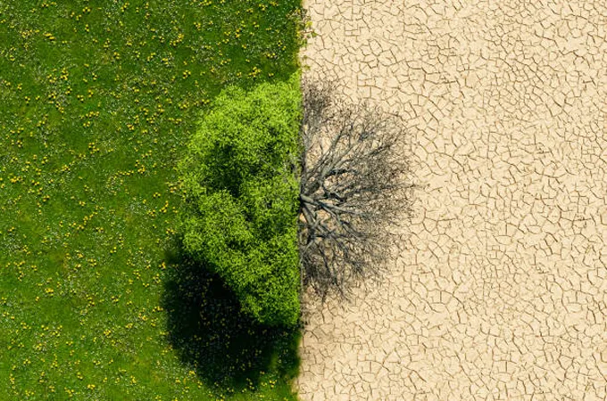 Integrated climate, clean-air action could deliver $15 for every $1 invested: UN report
