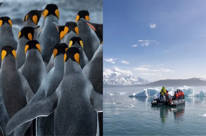 HX Expeditions unveils 2028/29 season with 57 voyages, 26 new itineraries
