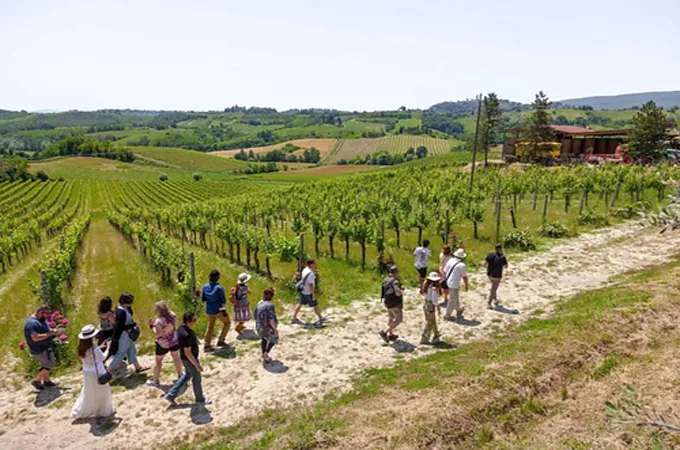 Day trips surge as travellers look beyond Europe’s major cities: The Tour Guy