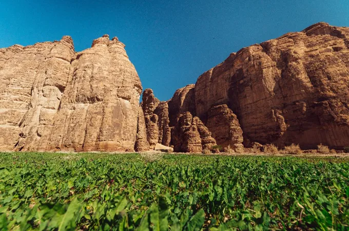AlUla wins gold for nature-positive tourism at 2026 ICRT Awards