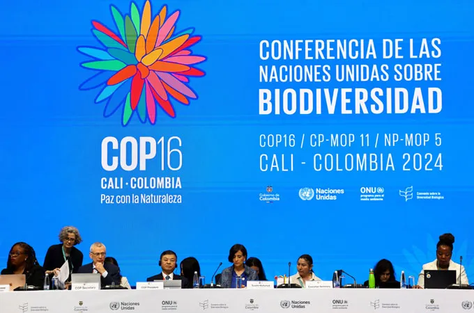 Global biodiversity funding hits $92.4bn in 2025, says OECD