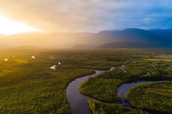 UN Biodiversity Conference secures new nature finance pledges worth $500m
