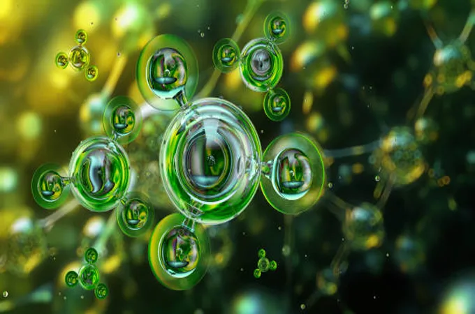 JERA, AM Green agree long-term green ammonia supply deal for Japan